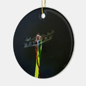 Blauwe en zwarte Dragonfly op groen en rood gras Keramisch Ornament (Links)