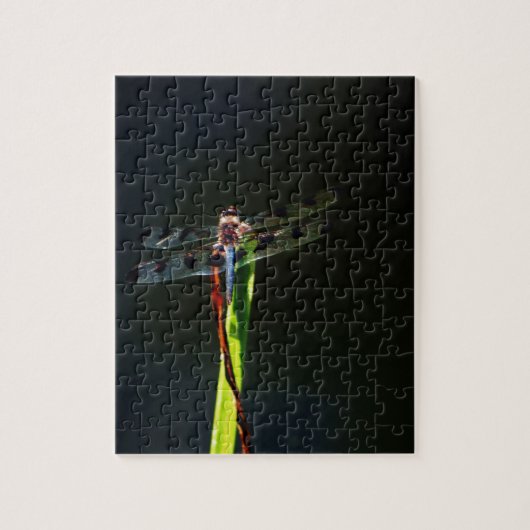 Blauwe en zwarte Dragonfly op groen en rood gras Legpuzzel (Verticaal)
