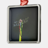 Blauwe en zwarte Dragonfly op groen en rood gras Metalen Ornament (Links)