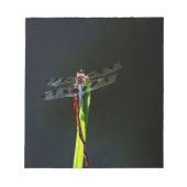 Blauwe en zwarte Dragonfly op groen en rood gras Notitieblok (Voorkant)