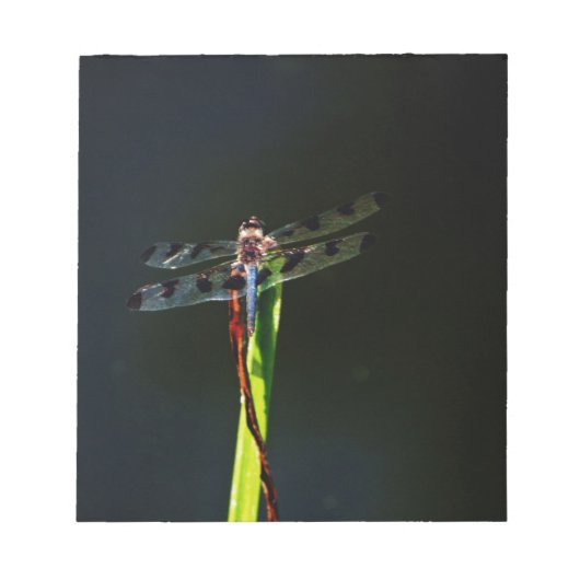 Blauwe en zwarte Dragonfly op groen en rood gras Notitieblok (Voorkant)