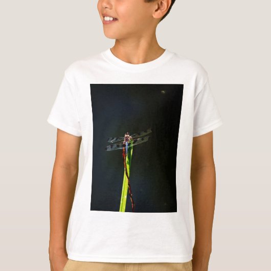 Blauwe en zwarte Dragonfly op groen en rood gras T-shirt (Voorkant)