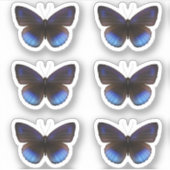 Blauwe en Zwarte Vlinder Sticker pack Bruiloft (Voorkant)