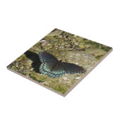 Blauwe en zwarte vlinder tegeltje (Zijkant)