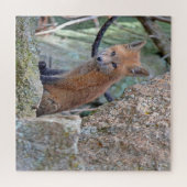 Blauwe eyed Baby Fox Legpuzzel (Horizontaal)