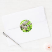 Blauwe Eyed Snake ~ sticker (Envelop)
