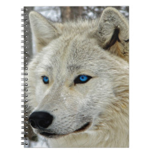 Blauwe eyed White Wolf-laptop Notitieboek