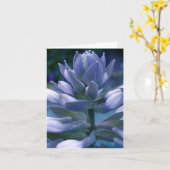Blauwe "fotografische" dagelijkse kaart Hosta (Gele Bloem)