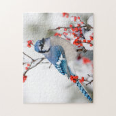 Blauwe Gaai in Gewone Winterbes Legpuzzel (Verticaal)