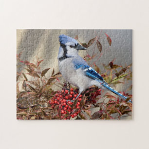 Blauwe Gaai in Nandina Hemelse Bamboe Legpuzzel