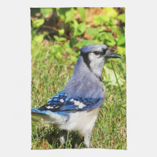 Blauwe Gaai Theedoek
