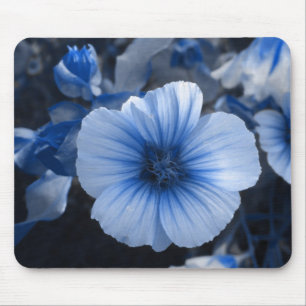 Blauwe gekleurde Lavatera Muismat