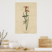 Blauwe gele kauwgaas poster (Keuken)