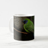 Blauwe gemaskerde Mok Leafbird (Voorkant links)