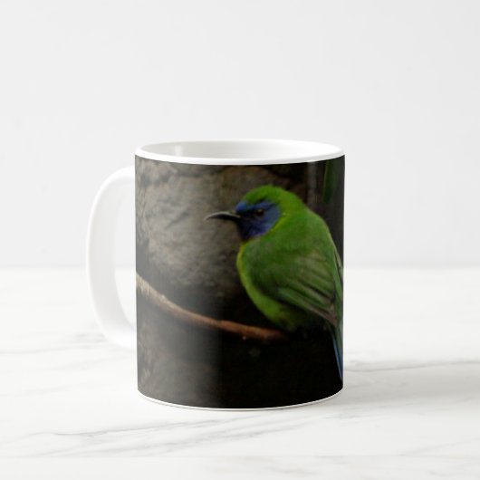 Blauwe gemaskerde Mok Leafbird (Voorkant links)