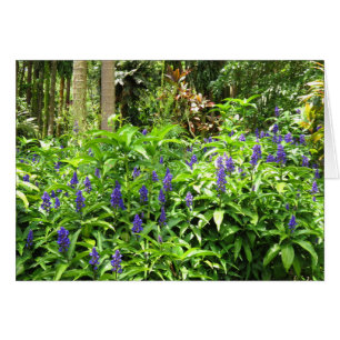 Blauwe gember