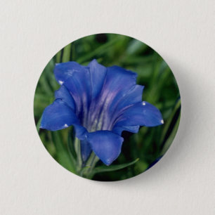 Blauwe Gentian bloemen Ronde Button 5,7 Cm