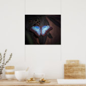 Blauwe Gewone Morpho Vlinder Poster (Keuken)