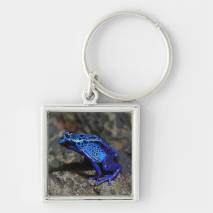 Blauwe gifkikker, bruine kikker sleutelhanger