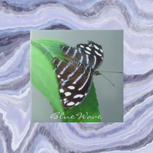 Blauwe golflengte op Leaf Foto Tegeltje