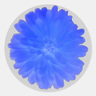 Blauwe Goudsbloem om Stickers