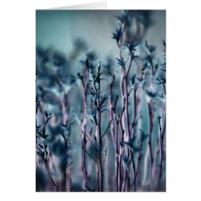 Blauwe gras (Voorkant)