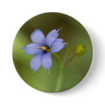 Blauwe gras wilde bloemen Button