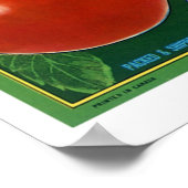 Blauwe Grouse Canadese appels Poster (Hoek)