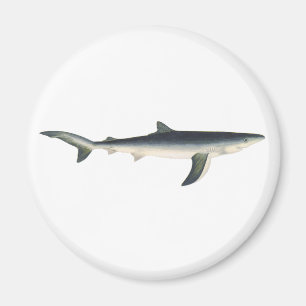 Blauwe Haai, Antieke Waterdieren Oceaan Zeeleven Magneet