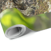 Blauwe hagedikalotes cadeaupapier (Rol Hoek)