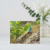 Blauwe hagedikalotes Mystaceus Briefkaart (Staand voorkant)