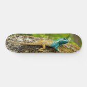 Blauwe hagedikalotes Mystaceus Skateboard (Horizontaal)