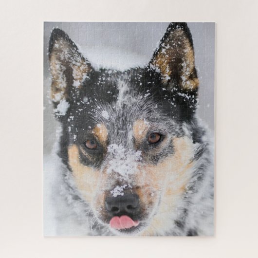 Blauwe Heeler hond in de sneeuw Legpuzzel (Verticaal)