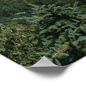 Blauwe hemden poster (Hoek)