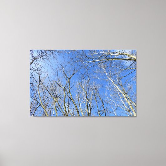 Blauwe hemel, bomen in de winter canvas afdruk (Voorkant)