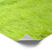 Blauwe hemel en grasveld poster (Hoek)