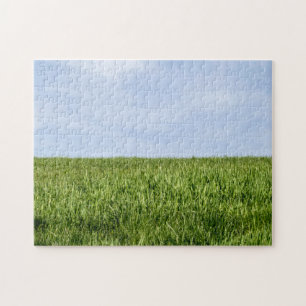 Blauwe hemel en groene gras (de Dag van de Aarde i Legpuzzel