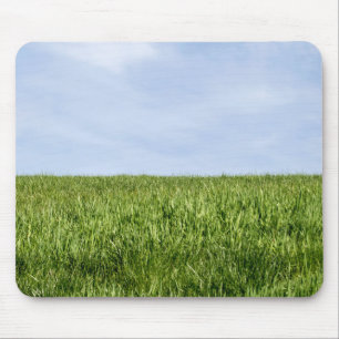 Blauwe hemel en groene gras (de Dag van de Aarde i Muismat