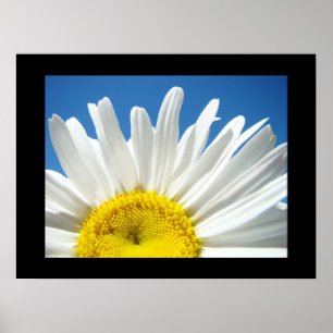Blauwe hemel prints Witte Daisy Flower