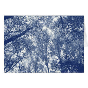 Blauwe herfst - Cyanotype-effect