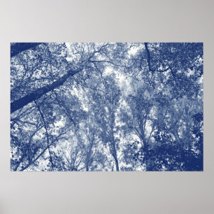 Blauwe herfst - Cyanotype-effect Poster