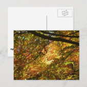 Blauwe herfst Natuur Briefkaart (Voorkant / Achterkant)