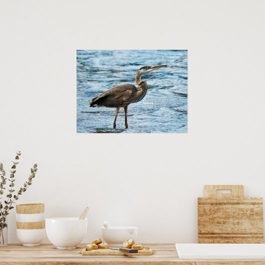 Blauwe Heron in blauw water Poster (Keuken)