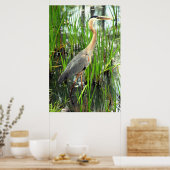 Blauwe Heron in de krant Reeds Poster (Keuken)