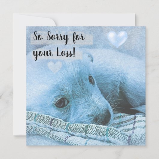 Blauwe hond en hart kaart (Voorkant)