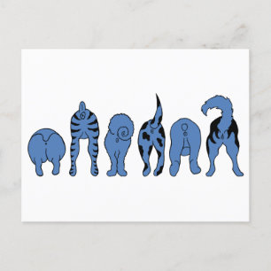 Blauwe hondenpeuken briefkaart