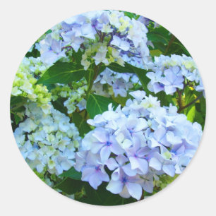 Blauwe Hortensia Bloemen Tuin Zomer stickers