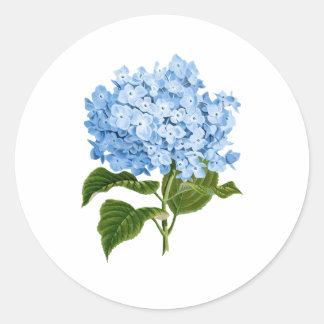 Blauwe hortensia grandmillennial ronde sticker