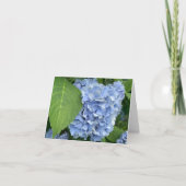Blauwe hortensia (hortensia macrophylla) kaart (Voorkant)