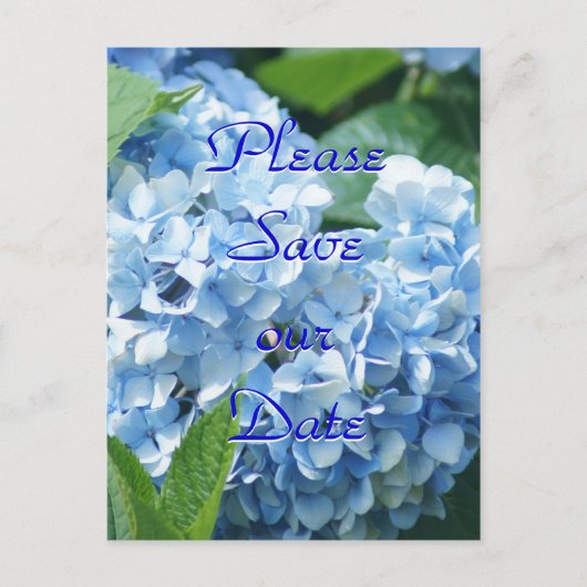 Blauwe Hortensia Save our date ansichtkaart- aanpa Uitnodiging Briefkaart (Voorkant)